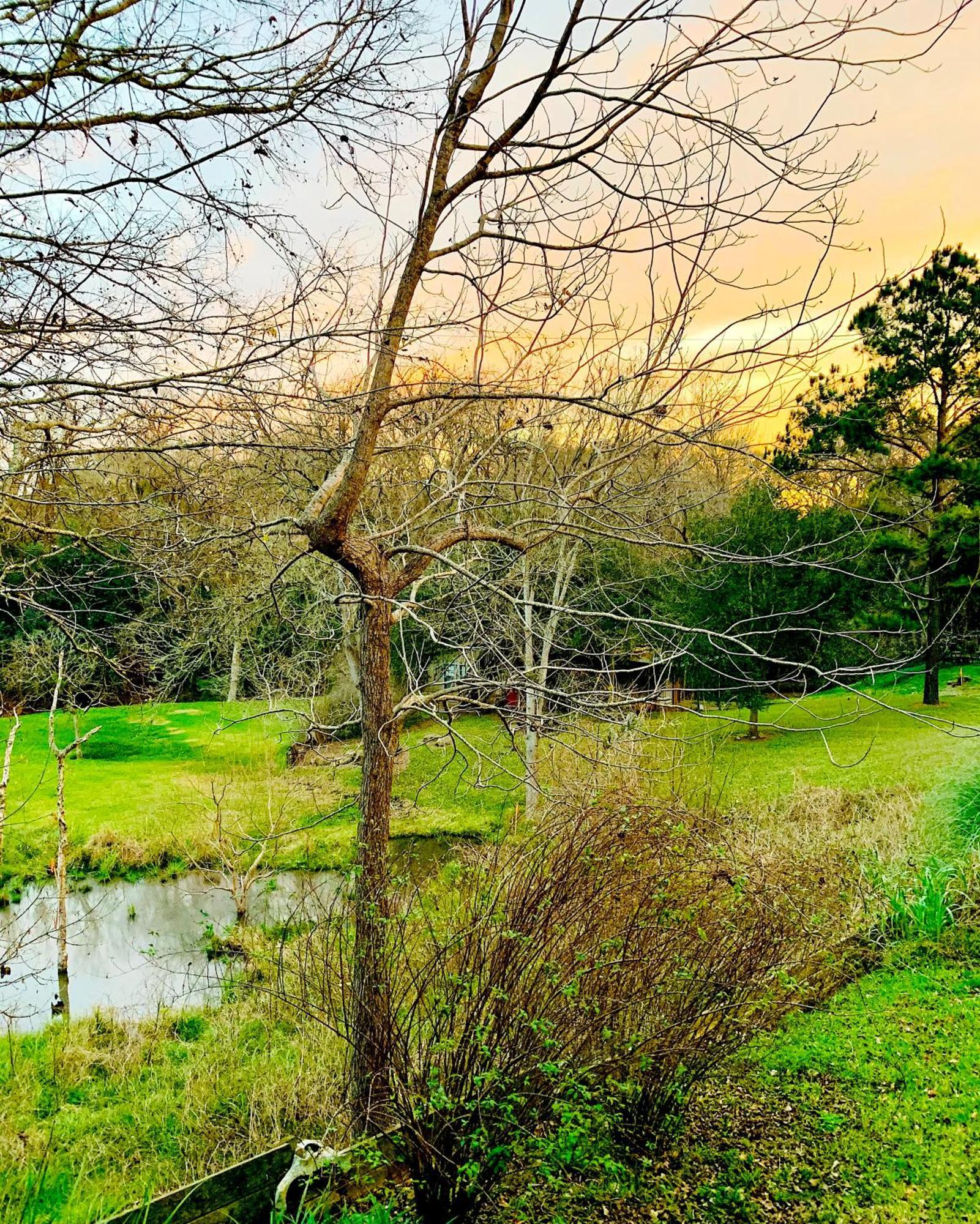 Circa 1900 - Historic - Romantic - Private - Pond - Fenced Yard - The Cottage At Chappell Hill 外观 照片